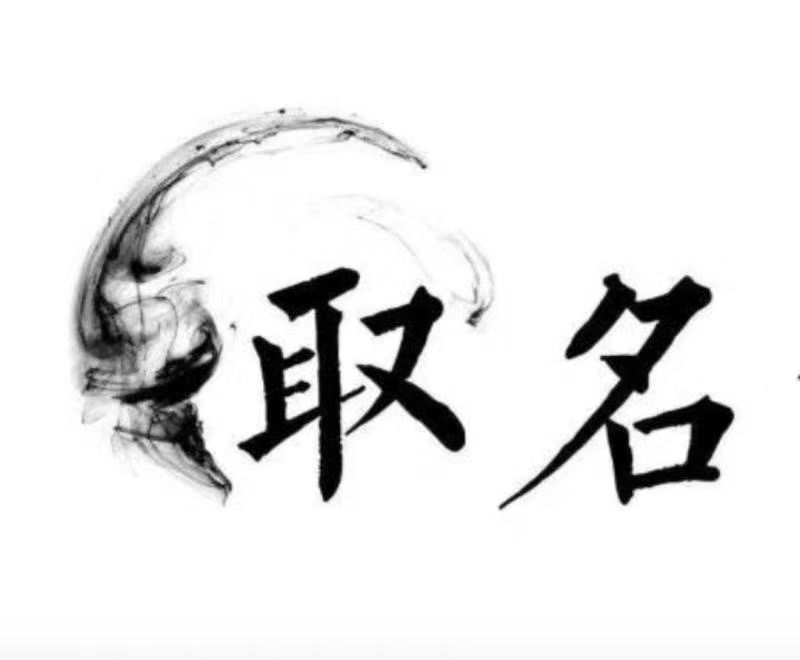  双柏宝宝取名 大师一对一人工起名